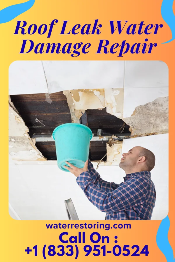 Roof Leak Water Damage Repair in Worland, WY